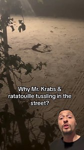 Mouse vs a crab 😂😂😂😂 #reels | Steff Weezy