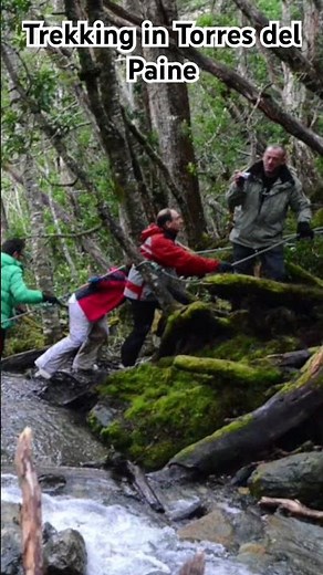 Hiking in Torres del Paine National Park: Patagonia's most spectacular trails.