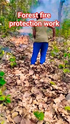 Forest fire protection work 🔥💪| save forest save animals 🧑‍✈️| #youtubeshorts #shortsfeed #fireworks