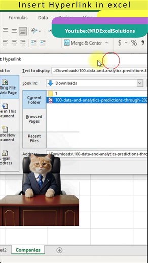 Insert Hyperlink in Excel 2021 | Excel
