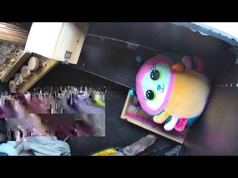 Live Backyard Squirrel Family – Watch Wild Squirrels Eat, Play & Explore (24/7 Nature Cam)