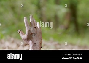 concept quicksand - man hand sticking out from quagmire. Hand of a drowning man sinks into the water, concept of a person mired in debt and unable to help himself Stock Video Footage - Alamy