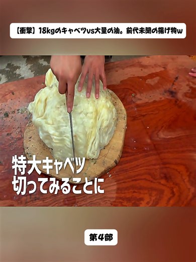 【衝撃】18kgのキャベツvs大量の油。前代未聞の揚げ物w4#japan #fyp #for #おすすめ #料理動画 #衝撃の末路