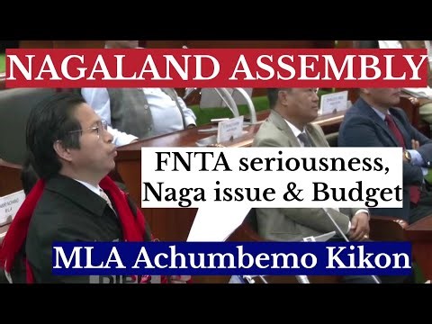 MLA Achumbemo Kikon on FNTA Bill, Naga Political Issue, Budget & Others 