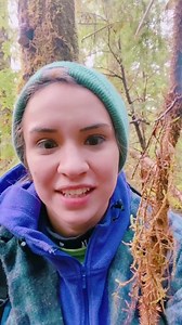 40K views · 2.2K reactions | Excuse the out of breath hiker. #devilsclub #virtualalaskantour #akch... | Chevy Horval | Facebook