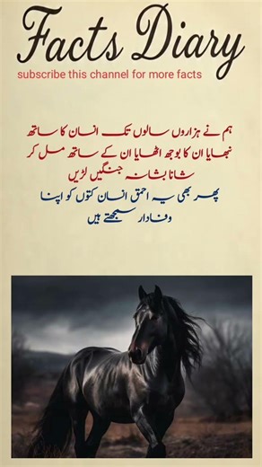 Urdu Quetes/ Motivation/Facts #shortvideo #inspirationalquotes #quotes #urduquotes #viralvideo