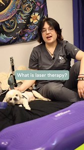 Abby from our Physical Rehabilitation team explains how MLS laser therapy supports healing and recovery in pets. Our Class 4, cutting-edge MLS laser uses light to: • Improve circulation • Stimulate tissue repair • Reduce inflammation • Reduce pain MLS laser therapy is a non-invasive treatment commonly used to support recovery after surgery, manage chronic pain, and improve comfort and mobility in pets undergoing rehabilitation. Our Physical Rehabilitation team works closely with our neurology sp