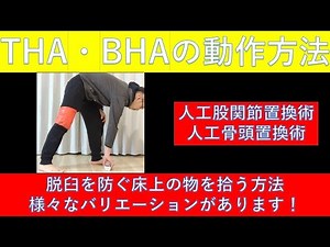 Total Hip Arthroplasty (THA) and Bilateral Hemiarthroplasty (BHA) Movement Methods -Various Varia...