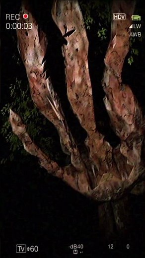 Siren Head caught on camera (found footage) #sfm #analoghorror #sirenhead #scary #creepy #shorts