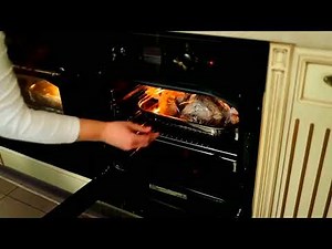 Lab Tech Review: The Best 7.95 Cu. Ft. Digital Forced Air Convection Oven!