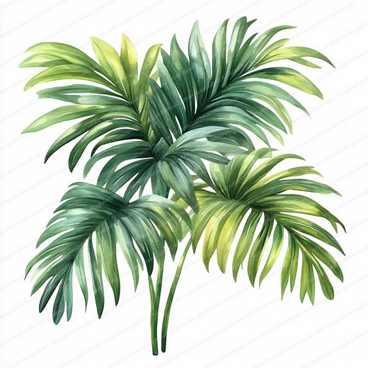 24 Gentle Palm Leaves Clipart | Tropical Foliage Art Collection | Printable Watercolor Clipart | High Quality Jpgs | Paper Craft | Journal - Etsy
