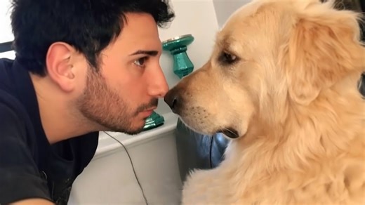 Hilarious Humans and Dogs Doing Silly Things Together