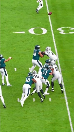 The throw. The catch. The Grinch in the background... pure cinema #shorts