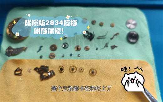 战损版2834拉档脱档保修！