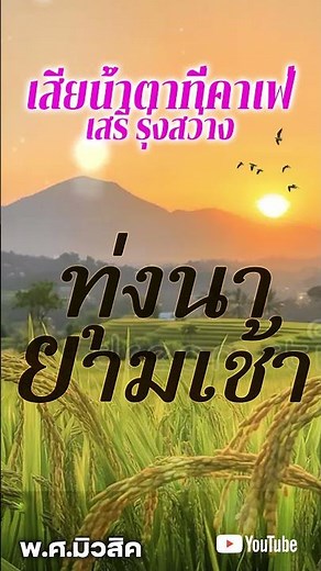 ลูกทุ่งยามเช้า รวมเพลงอมตะลูกทุ่ง ฟังตอนเช้าๆ เสียน้ำตาที่คาเฟ่