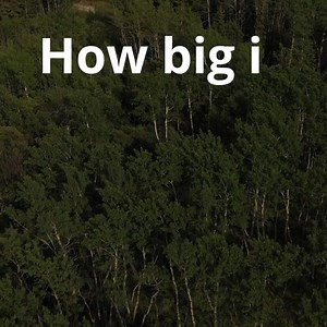 Home to abundant wildlife, fresh water, and storehouses of carbon, Canada's Boreal Forest is the biggest intact forest left on the planet. But how big is BIG? | Boreal Conservation