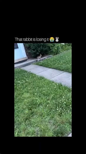 The sound it made  (via:tiktok/almightyzeusalston) #funny #lol #unexpected | Elyn Caceres | Facebook