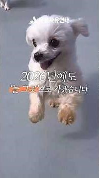 2025 활동영상 "늘 그곳, 동물의 곁에" / 동물자유연대
