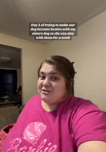 Dog Training Tips for Introducing Dogs as Friends