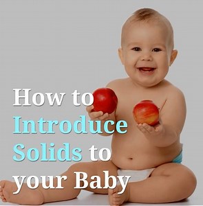 44K views · 401 reactions | a guide to all your queries including how to introduce solids, how much you should offer etc..For more recipes, https://bit.ly/2EPLcMS Check the detailed post on introducing solid food here: https://gkfooddiary.com/baby-food-charts-for-6-to-12-months-baby/ | GKFoodDiary | Facebook