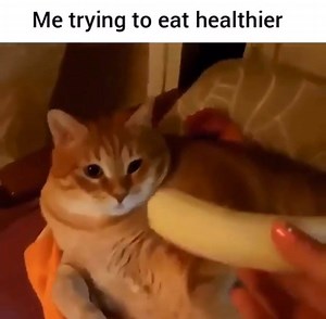 🥬 Get away from me!!! 👊🏼 | Nicko's Kitchen