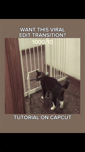 super easy transition | INTRO: sfxcal #CapCut #capcuttutorial #edittutorial #capcutpioneer #viraledit eye, psyche & the bluebeard's wife le sserafim transition edit tutorial | viral cat edit tutorial | blur transition edit