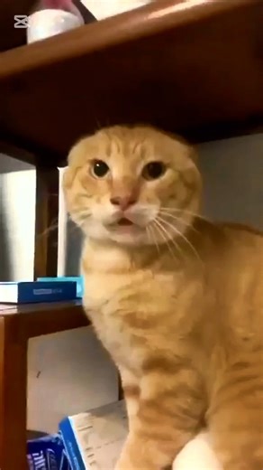 I Beatboxed for 100 People in a Tiny Room!