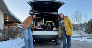 Animals displaced by Los Angeles fires arrive in Montana