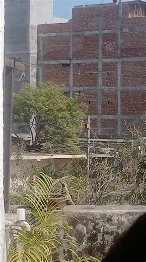 Abhinav Chaturvedi on Reels