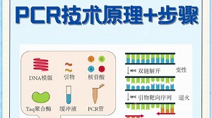 分子实验入门：PCR技术原理过程和实验步骤