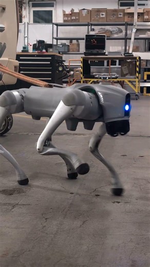 Go2 Mover Truma Roboterhund zieht Wohnwagen Rangierhilfe Unitree #unitree #mover #camper #robodog