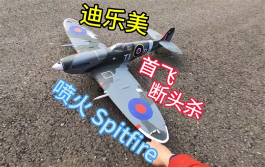 迪乐美Dynam 1200mm翼展 喷火Spitfire，首飞撞击防空草 遭遇断头杀