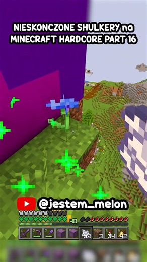 NIESKOŃCZONE SHULKERY na Minecraft Hardcore PART 16 #minecraft #shorts