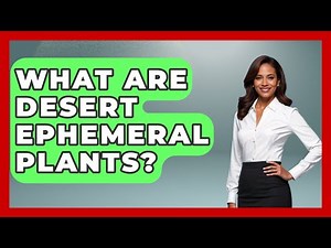 What Are Desert Ephemeral Plants? - The Geography Atlas