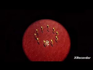 Super Mario Odyssey All Death Animations Speedrun [4:39]