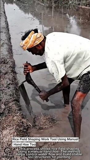 Rice Field Shaping Work Tool Using Manual Hand Hoe Tool #worktool