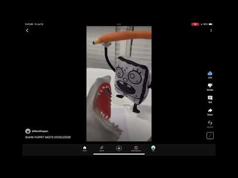 Shark Puppet: all Stock Scream Sound Effects