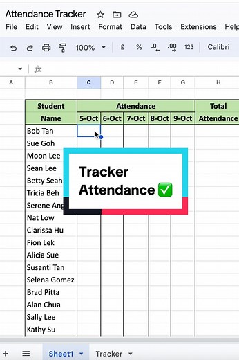 Excelmagicwithlily on TikTok
