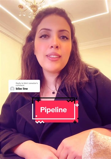 Understanding Pipeline Meaning in Business Context