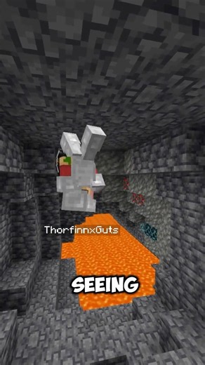 Can You Beat Minecraft Upside Down?