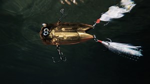 31K views · 979 reactions | Shimano’s revolutionary World Family of...