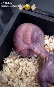 E.T. Phone Home . . .