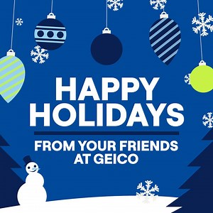 GEICO wishes you the best during your winter festivities! May your holidays be happy, your new year be healthy, and your cookies be warm. | GEICO