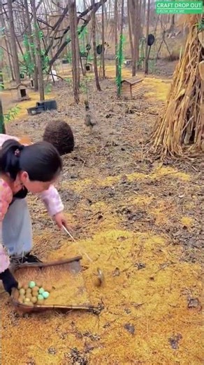 🥚🌲 Collecting Eggs from Ground-Nesting Birds