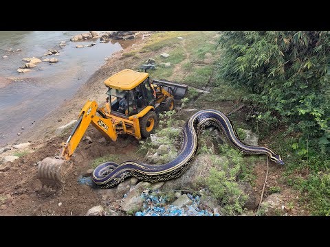JCB 3dx Backhoe Machine Loading Mud Tractor's | Mahindra Tractor, John Deere Tractor And Thar Car