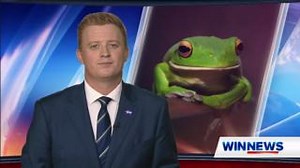 The Australian Museum has hit the road, bringing its ribbit-ing frog exhibition to Stockland Shellharbour! #WINNews | WIN News Illawarra