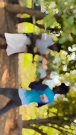 SEVAL LOVER on Instagram: "@salem__seval_official"