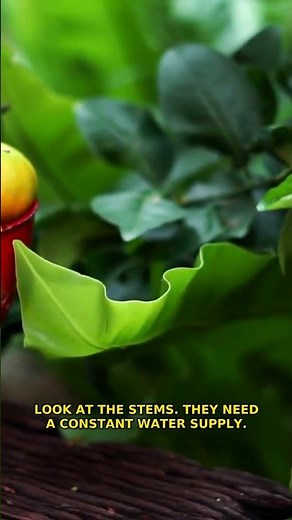 60 Things About Practical That'll Blow Your Mind ✨