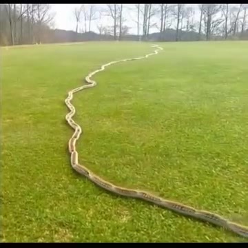 82K views · 147 reactions | Just around midday yesterday, something...