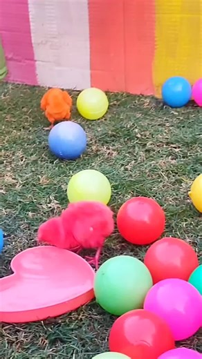 Exploring the World of Cartoon Kid Content on TikTok